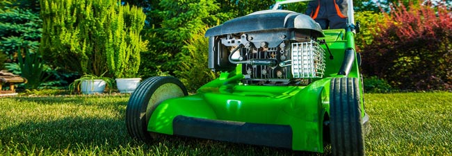 Yard Maintenance and Mowing Services